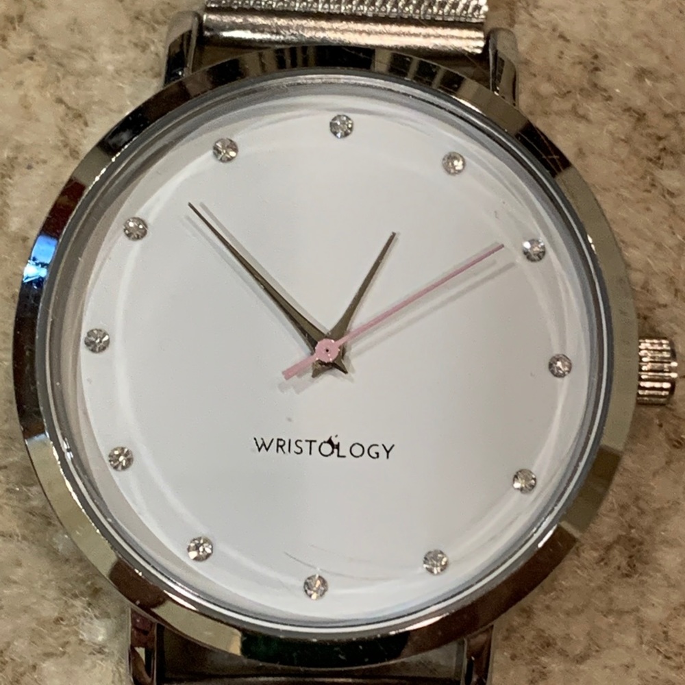 Wristology Olivia Watch Stainless Mesh Band.